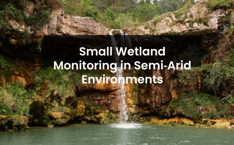  Small Wetland Monitoring in Semi‑Arid Environments